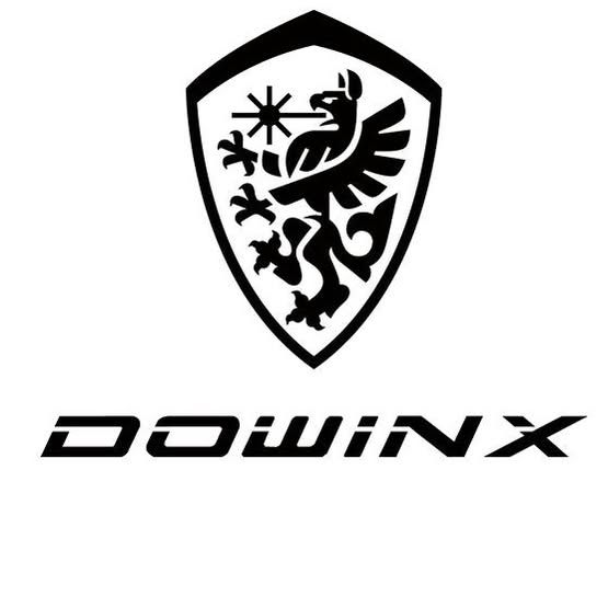 Dowinx Chair Logo